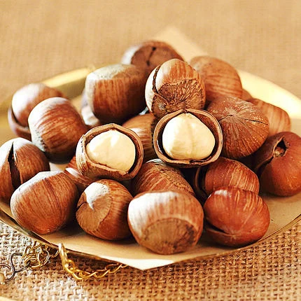 Hazelnut Powder Hazelnut Powder