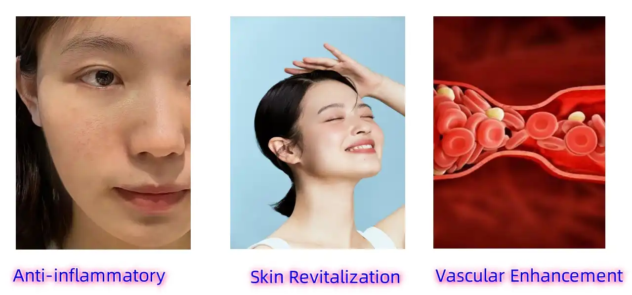 Neoruscogenin Functions Neoruscogenin Functions