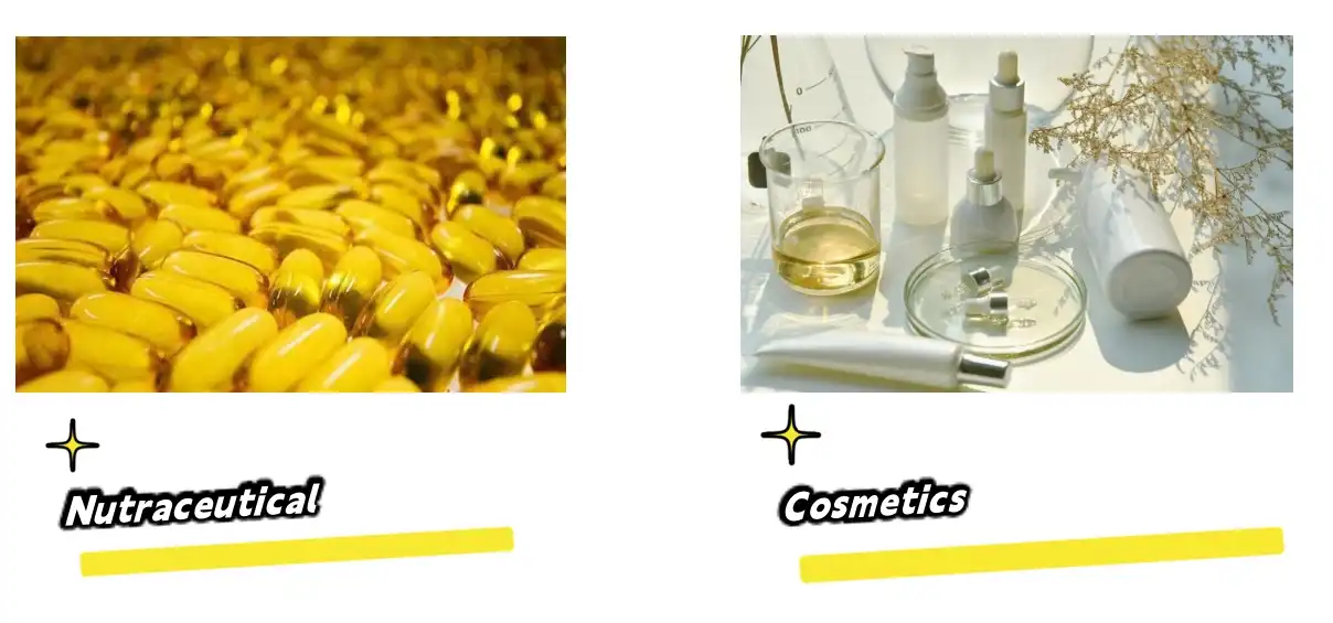 7-Dehydrocholesterol Powder Application