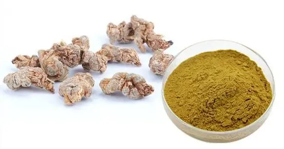 Notoginseng Saponins Notoginseng Saponins