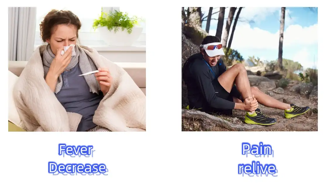 Salicin Powder Functions Salicin Powder Functions