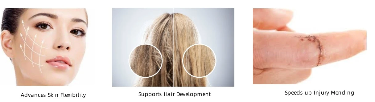 Fish Collagen Peptide function Fish Collagen Peptide function