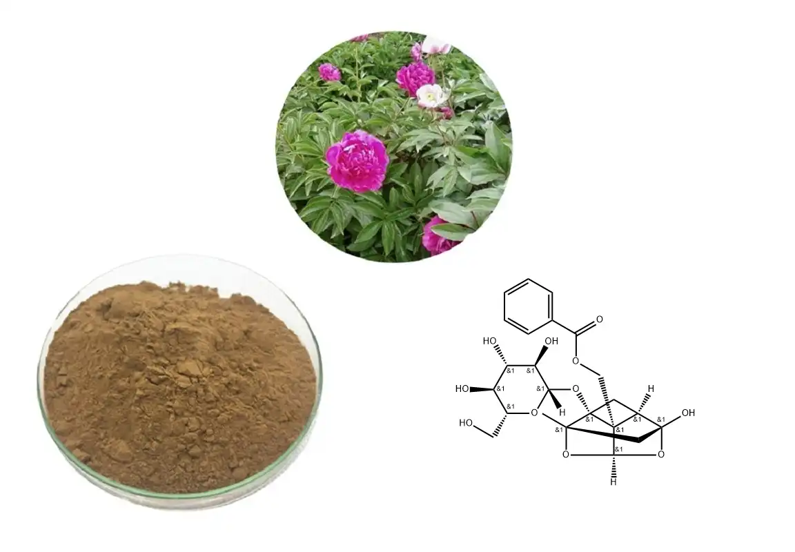 Paeoniflorin Powder