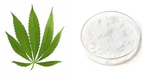 Cannabidiol Isolate Powder