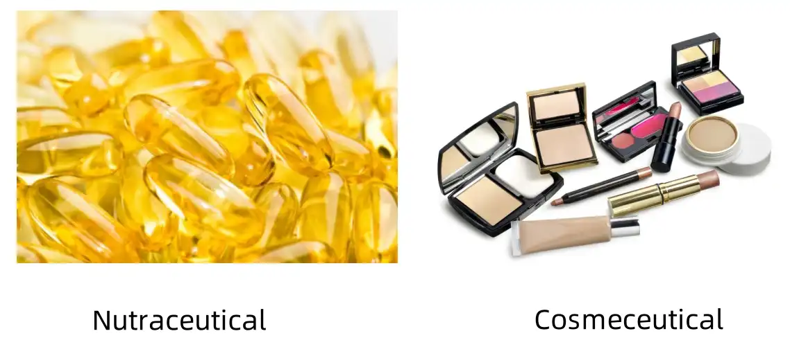 Sea Cucumber Peptide Application Sea Cucumber Peptide Application