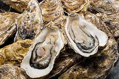 Oyster Peptide