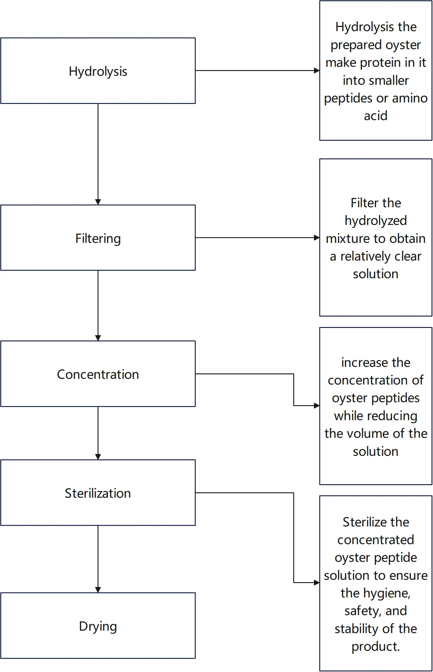 oyster peptide Process