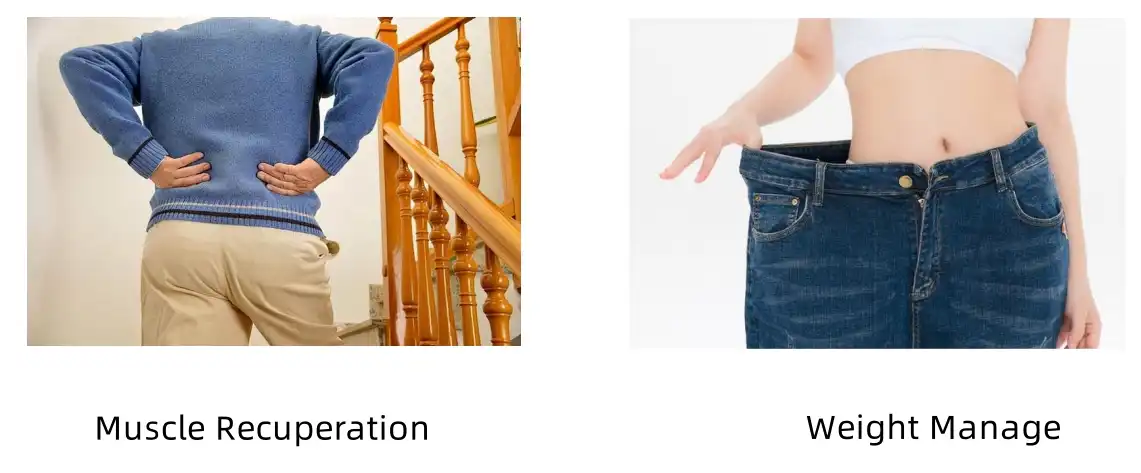 Oat Peptide Functions Oat Peptide Functions