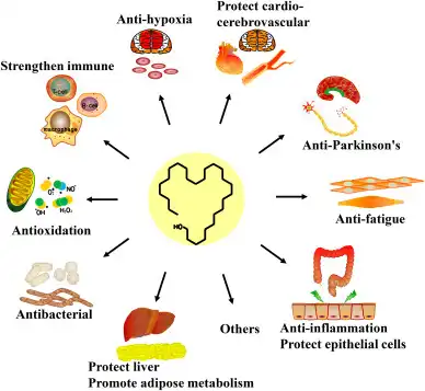 The Function of Octacosanol 