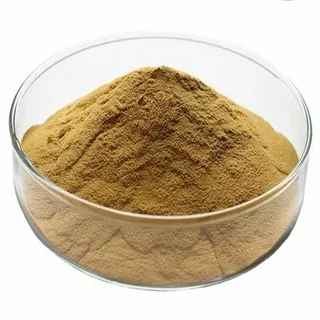 Panax Notoginseng Extract Panax Notoginseng Extract