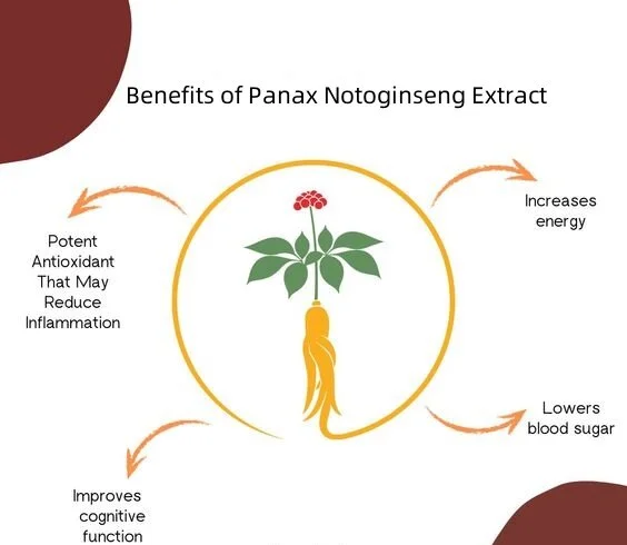 Panax Notoginseng