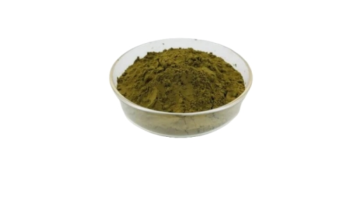 Turkesterone powder