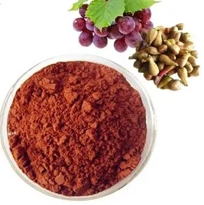 Grape Seed Extract Powder Grape Seed Extract Powder