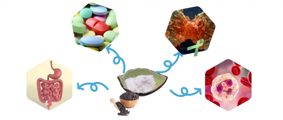 Function of Piperine Powder