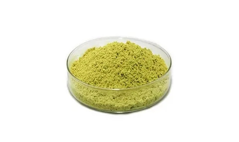 quercetin powder