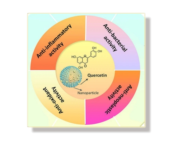 Quercetin Powder function