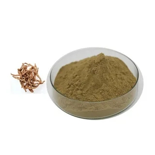 Panax Notoginseng Extract powder