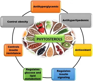 Phytosterol Powder