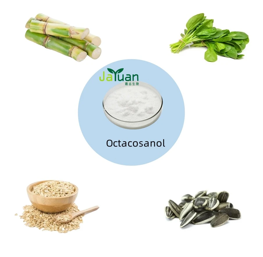 Octacosanol Powder Octacosanol Powder