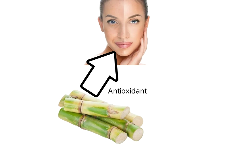 Antioxidant of octacosanol Antioxidant of octacosanol