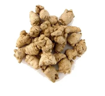  Panax Notoginseng Extract