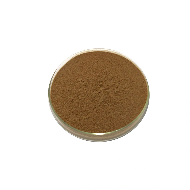 Panax Notoginseng Powder Panax Notoginseng Powder