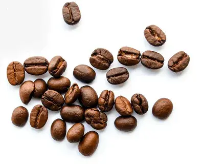 chlorogenic acid powder in espresso beans