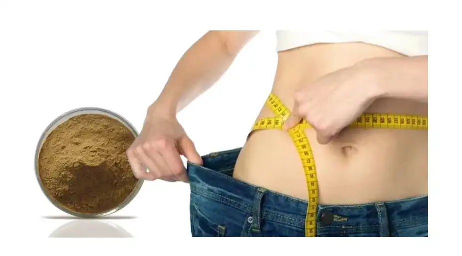 chlorogenic acid powder for losing weight