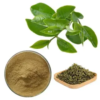 tea polyphenols