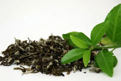 natural tea polyphenols