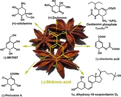 Shikimic Acid Powder Shikimic Acid Powder