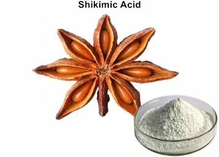 Shikimic Acid Powder Shikimic Acid Powder