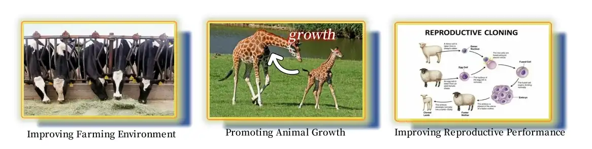 function of yucca extract function of yucca extract