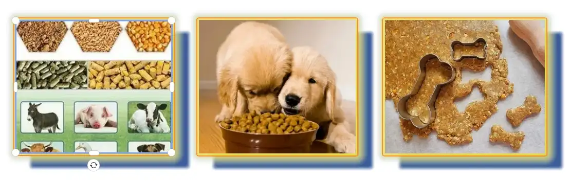 Application of Yucca Extract Application of Yucca Extract