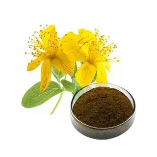 St John's Wort Extract Powder