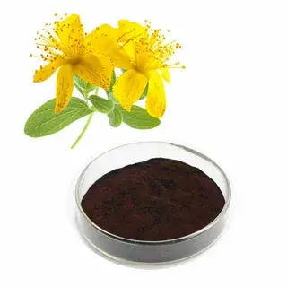 St John's Wort Extract Powder