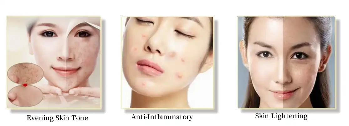 function of azelaic acid powder function of azelaic acid powder