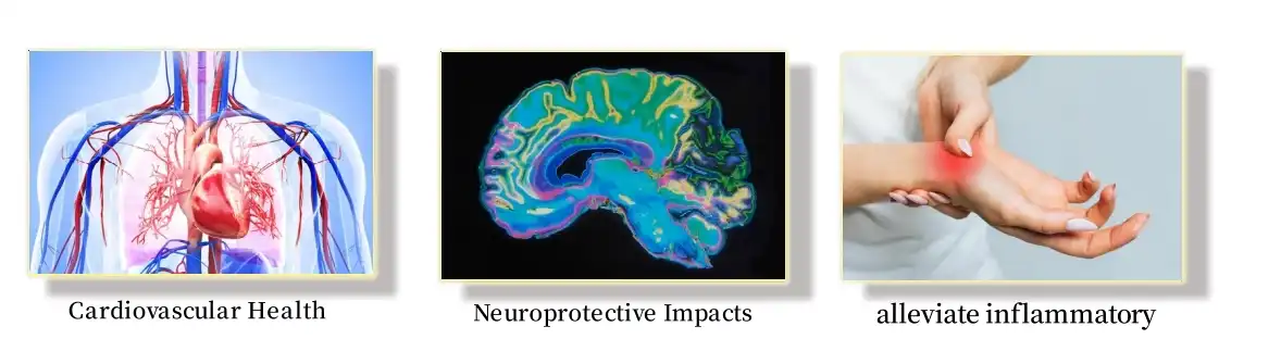 Function of Puerarin Powder Function of Puerarin Powder