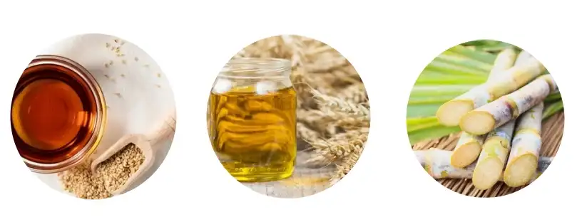 source of octacosanol source of octacosanol