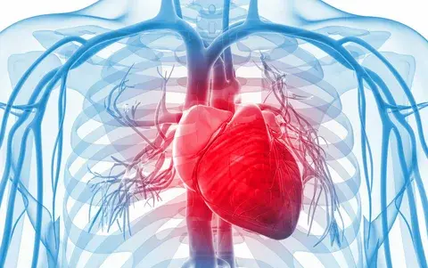 Cardiovascular Health