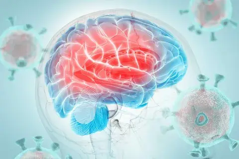 Neurological Health