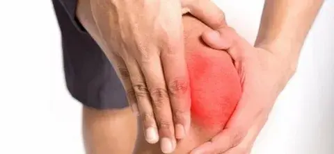 Gypenosides Gypenosides