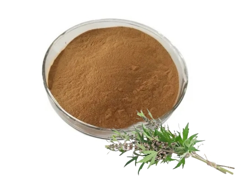 Motherwort Herb Extract