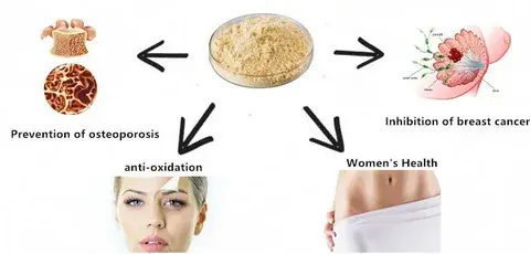 function of genistein powder function of genistein powder