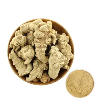 panax notoginseng extract