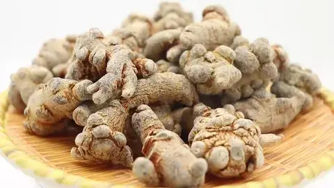 Panax Notoginseng