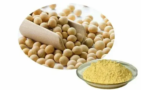 soy isoflavone extract