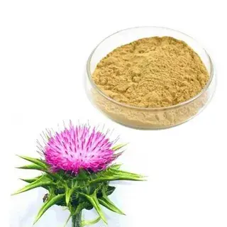 Silymarin Powder