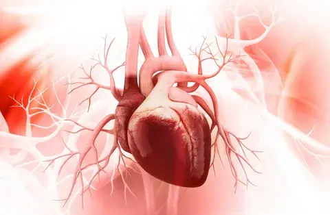 Cardiovascular Health Cardiovascular Health