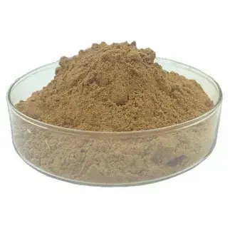 Chlorogenic Acid Powder Chlorogenic Acid Powder
